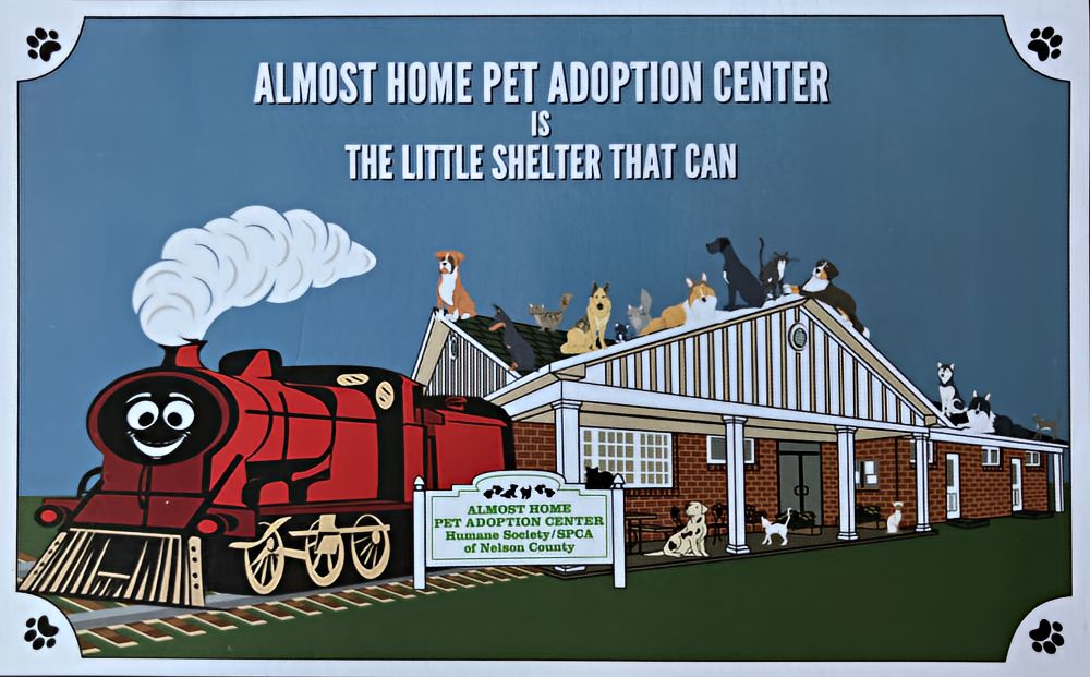 The Shelter that Can Almost Home Pet Adoption Center is The Little Shelter That Can