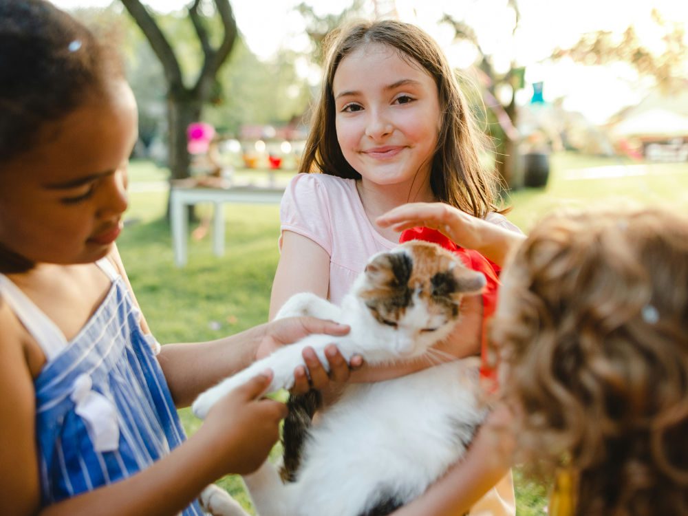 Community Outreach a little girl at a park event holding a kitten while her friends pet it