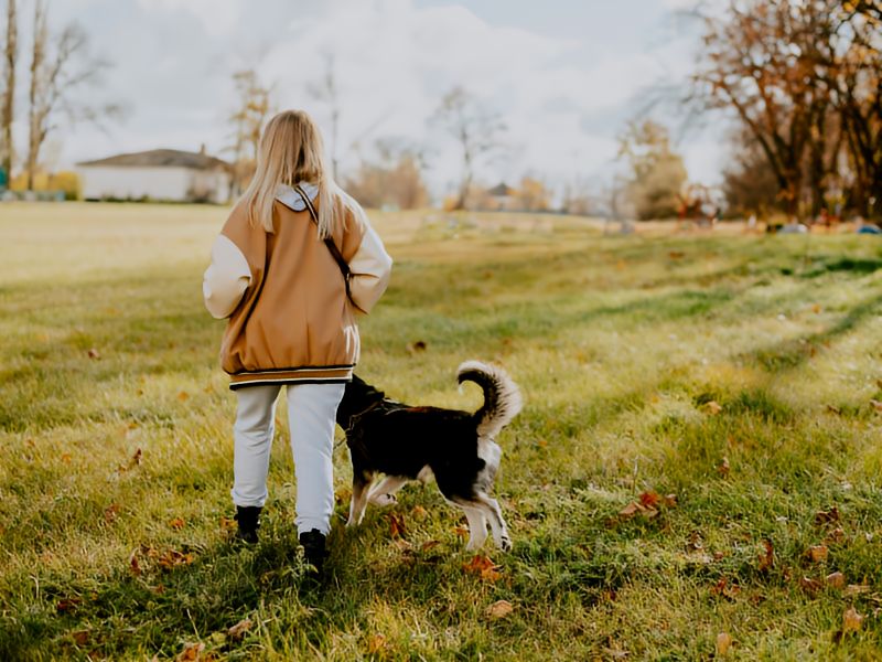 Our Story A girl walking her dog in a field