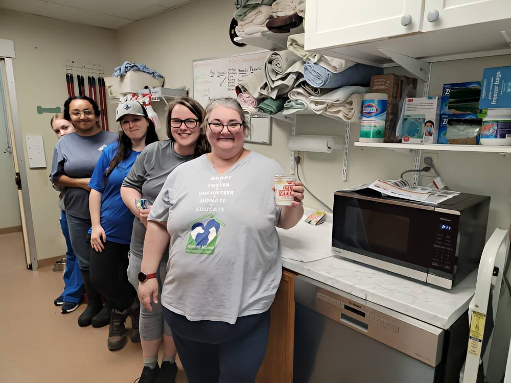 Team 2025 Team photo of the Nelson SPCA staff