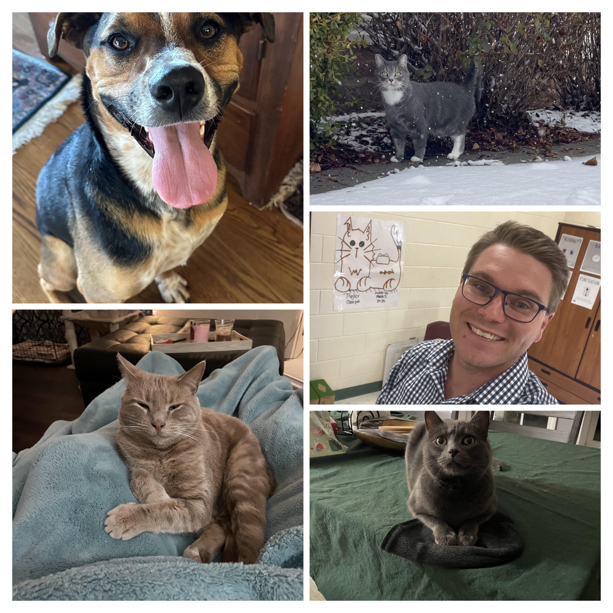 Brandon Stinson with his pets Dobby, Sox, Weasley, and Fredley.